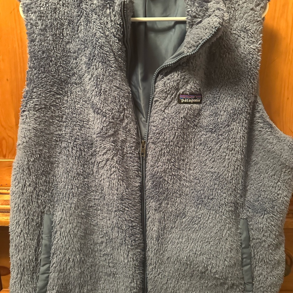 Patagonia Blue Fleece Vest